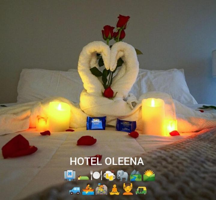 Hotel Oleena Habarana Exterior foto