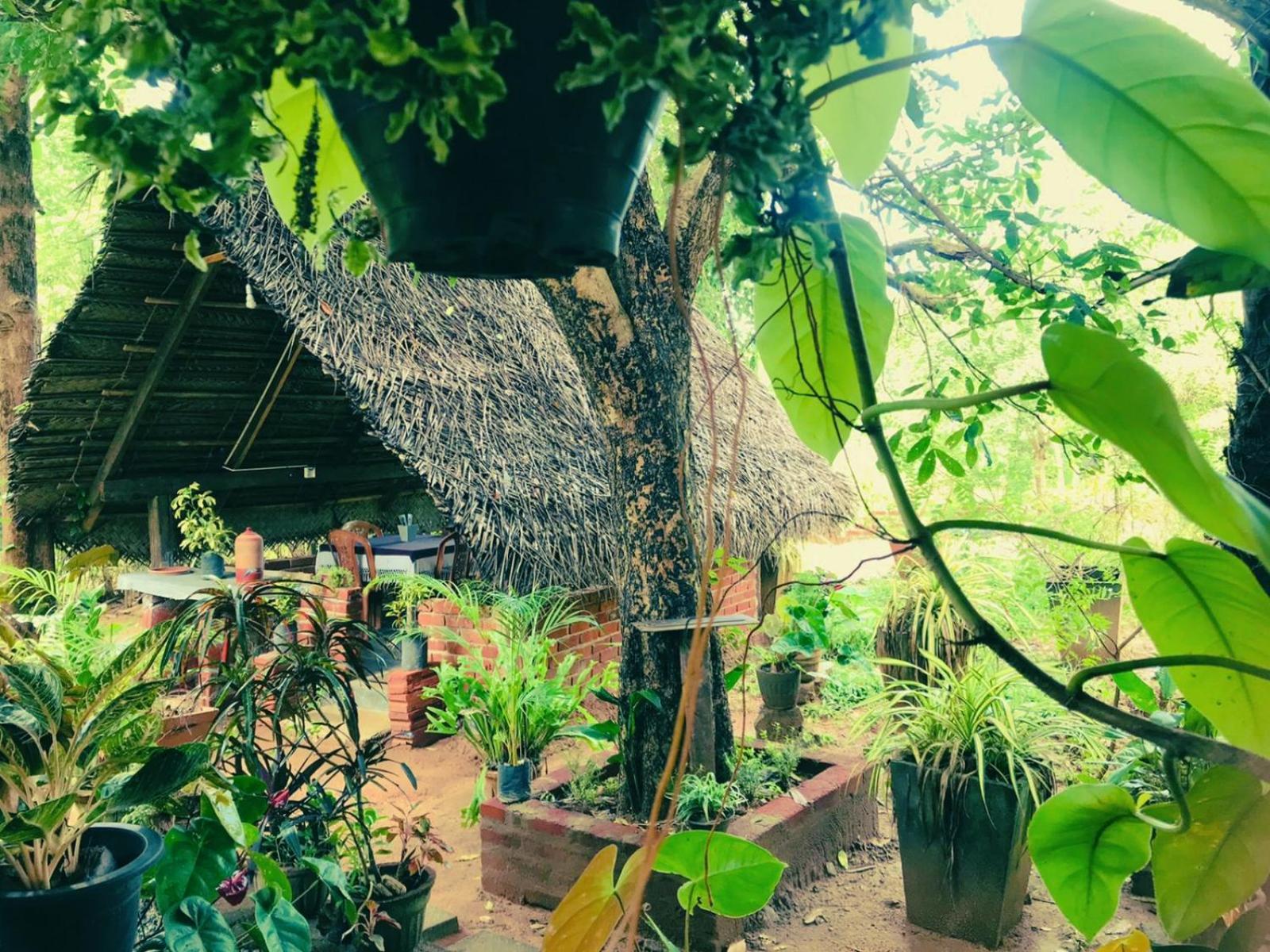 Hotel Oleena Habarana Exterior foto