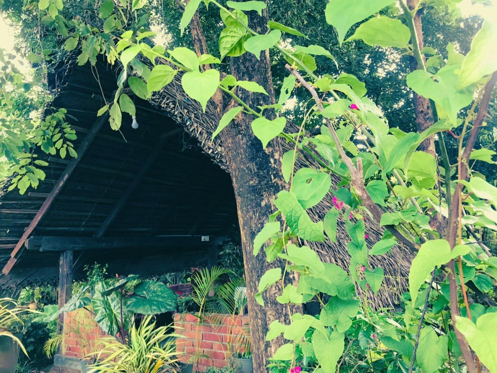 Hotel Oleena Habarana Exterior foto
